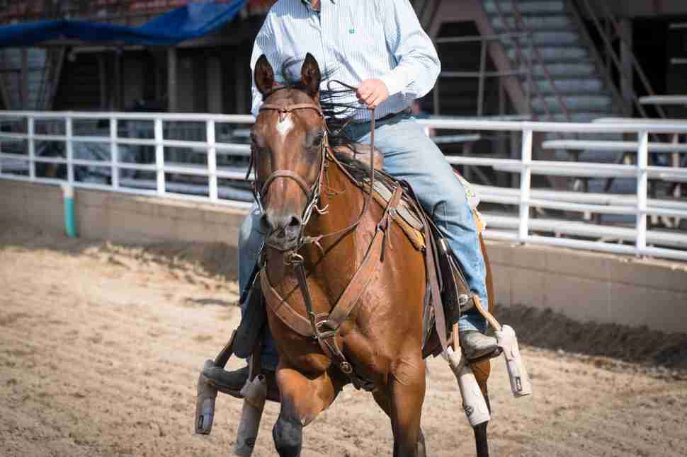 Colorado State Fair