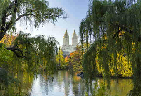The Ramble, Central Park