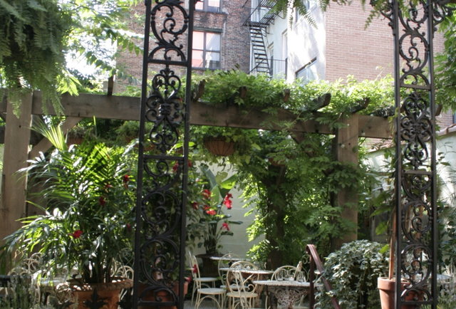 Absinthe and oysters in Williamsburg