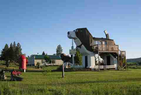 airbnb dog house