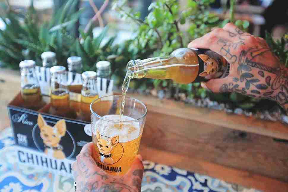 Taste of Brews