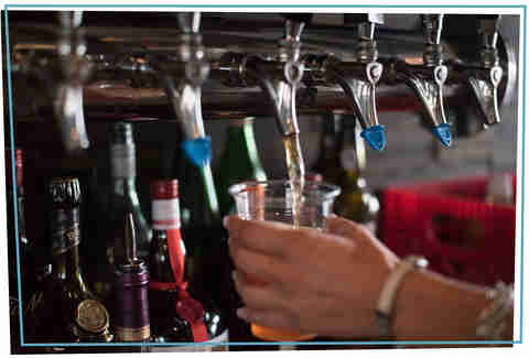 alley cat oyster bar