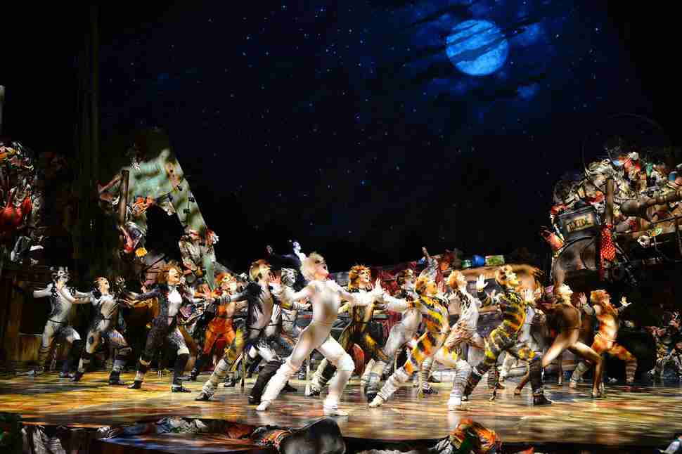 Cats the Musical