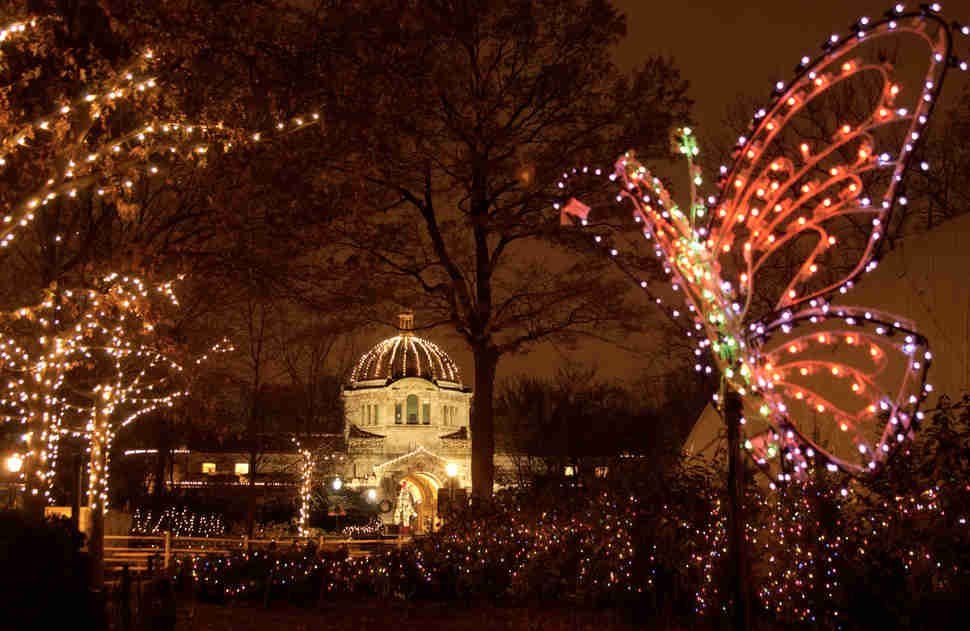 bronx zoo holiday lights