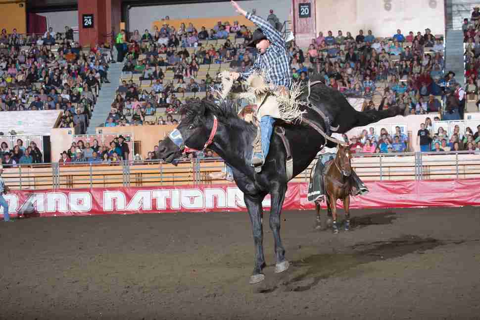 Grand National Rodeo