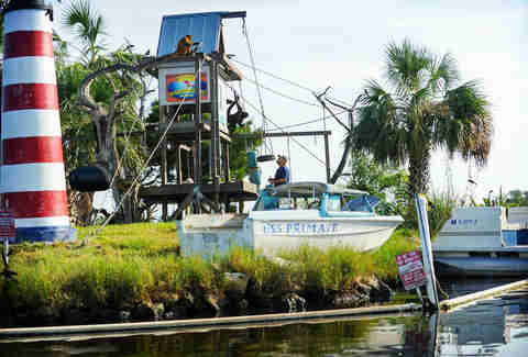 Discover Crystal River Florida