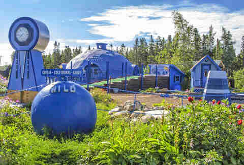Wild Blueberry Land