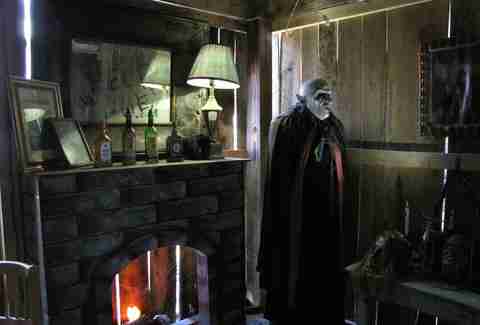 Creepy Hollow Haunted Woods