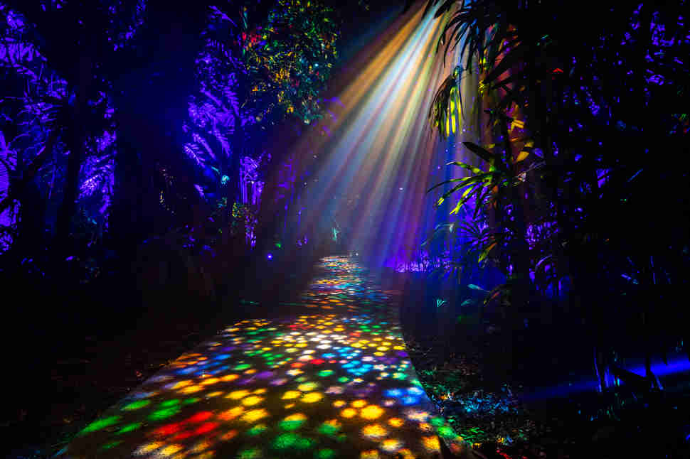 NightGarden