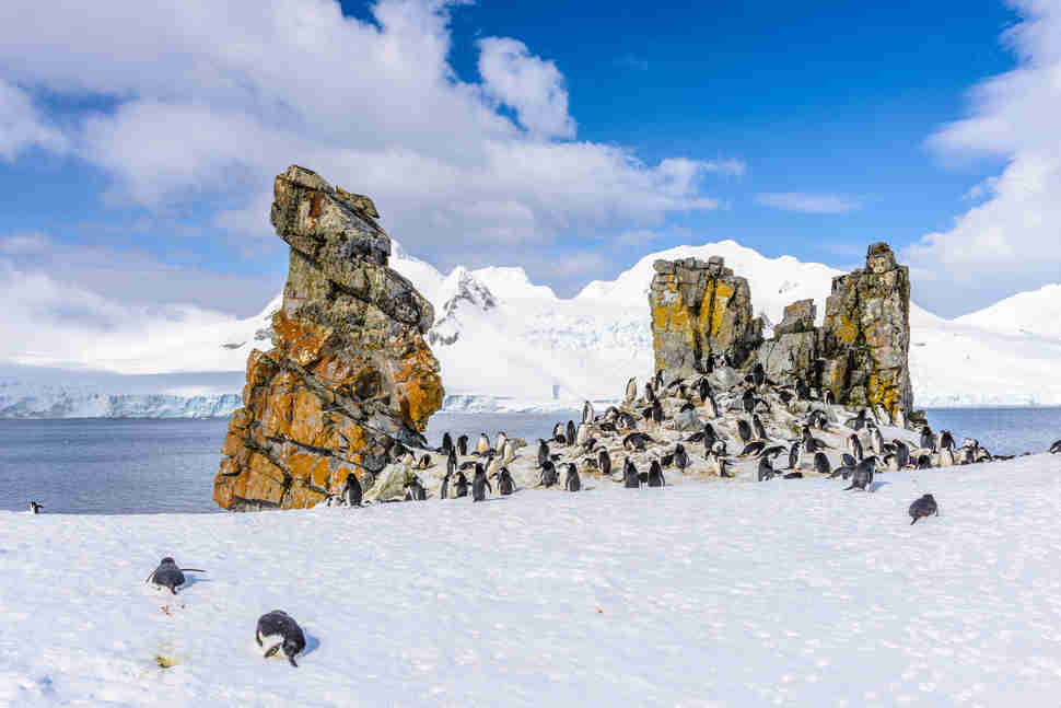 south shetland islands