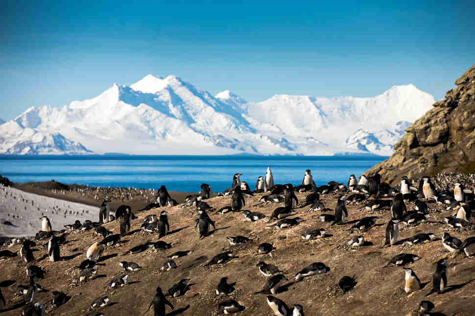 Deception Island