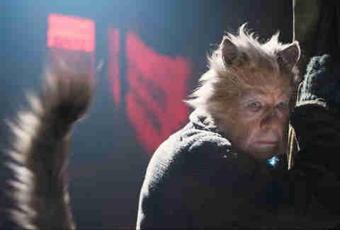 gus, ian mckellan, cats