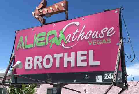 The Alien Cathouse