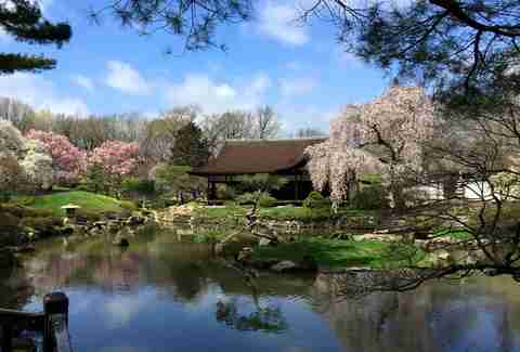 Shofuso