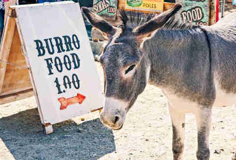 Oatman