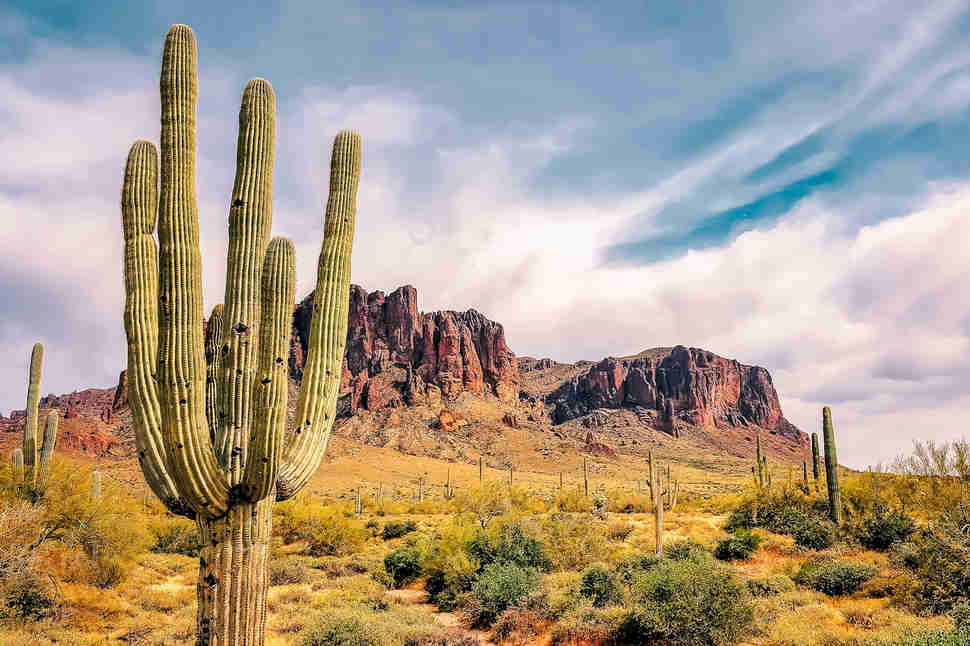 Phoenix Arizona