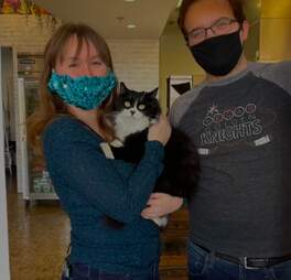 伙伴流浪猫和他的新家人