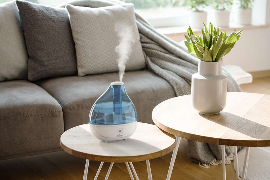 Best Humidifiers On Amazon Popular Affordable Humidifiers Thrillist