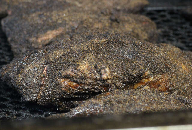 Gotta Make the Brisket