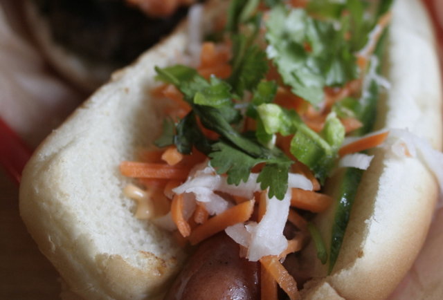 Asia Dog