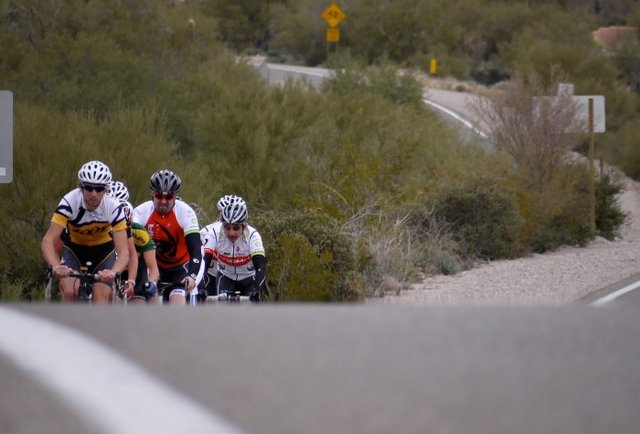 Colorado Road Biking Camp