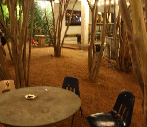 Yellow Jacket Social Club