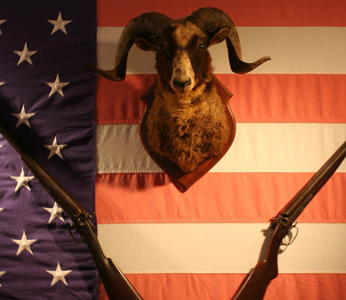 Ball and Buck