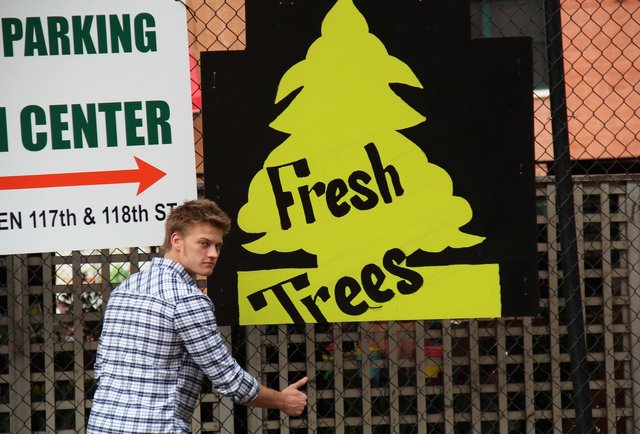 116th St - Fresh Trees