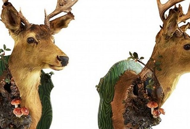 Making art from things no longer with us