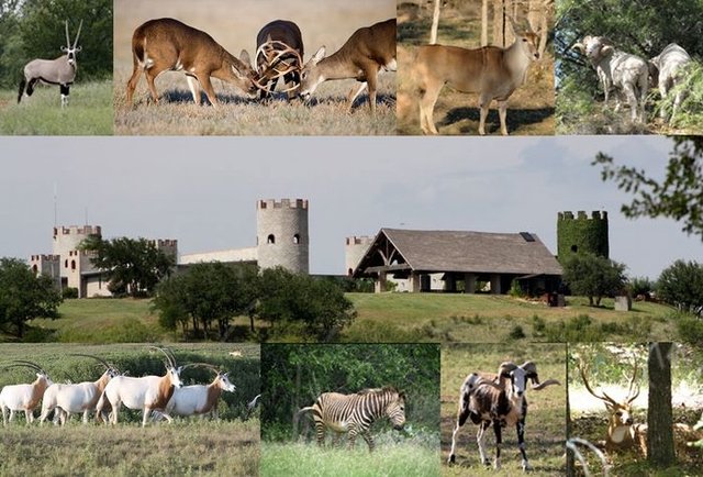 Greystone Castle Sporting Club