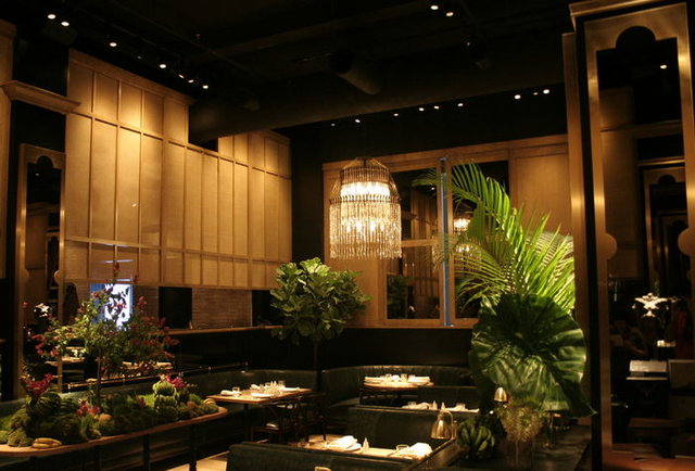The Hurricane Club