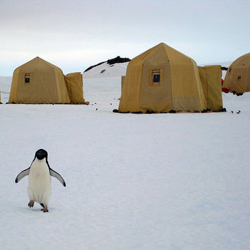 Kensington Antarctica