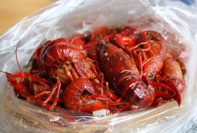 SJ Crawfish