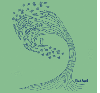 BirdSwell Surf Tees