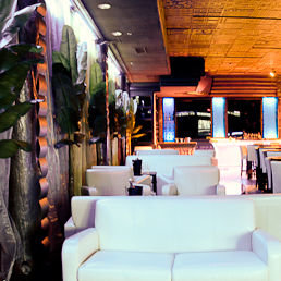 The Havana Club