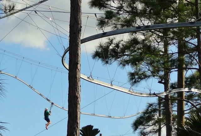 1. Florida EcoSafaris