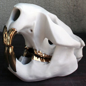 Skull Art
