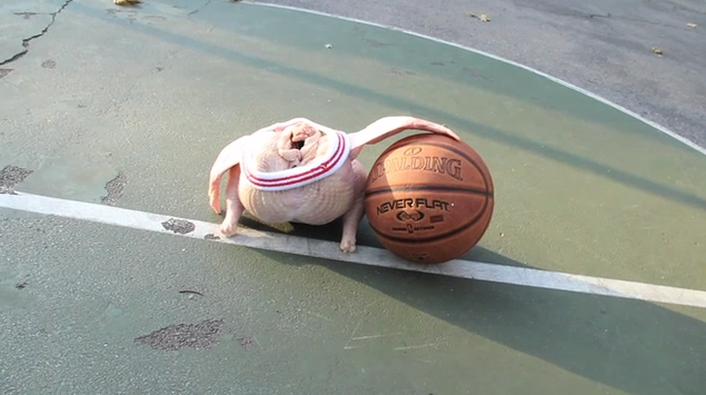 How to Make a Turducken