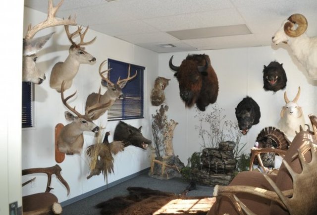 Bitterwater Outfitters