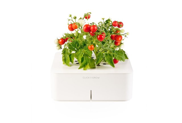 Click & Grow