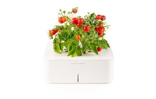 Click & Grow