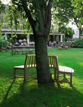 Sunday Garden Party at Madame Tong's