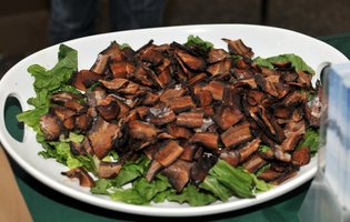 Baconfest II