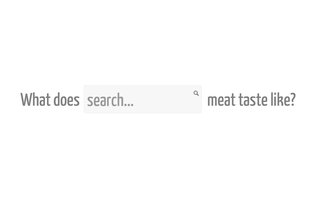 Meat Taste