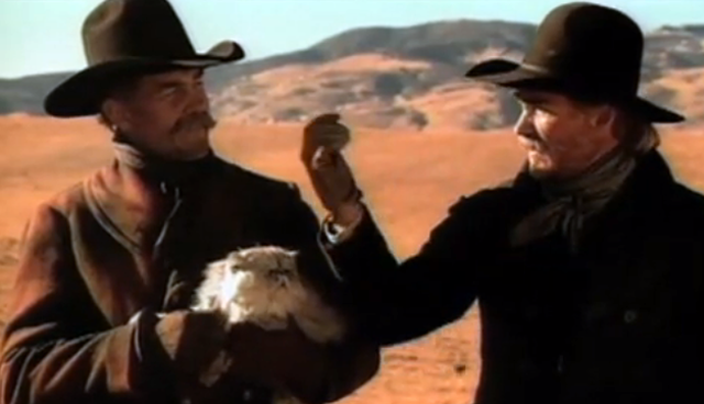 Super Bowl Animals: Where Are They Now?
