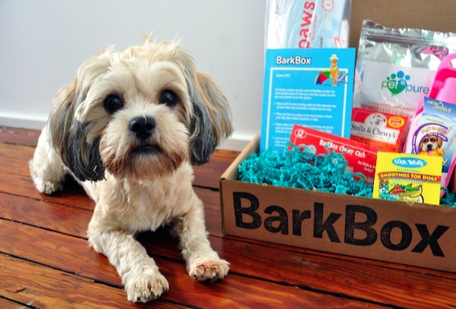 BarkBox