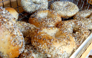 Brooklyn Water Bagels