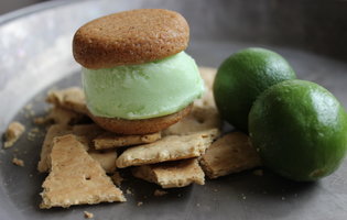 Peteybird Ice Cream Sandwiches
