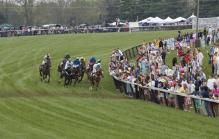 Your Food & Drink Guide to Foxfield Weekend
