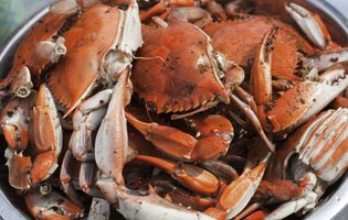 Crab is King